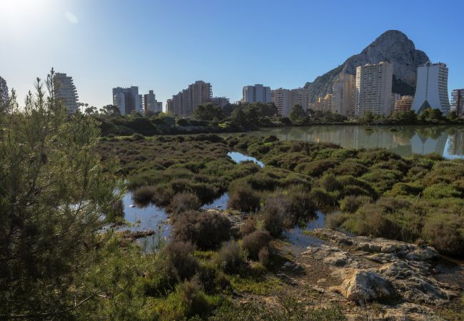 Appartement à Calpe - HIPOCAMPOS - 410C Appartement à Calpe - HIPOCAMPOS - 410C