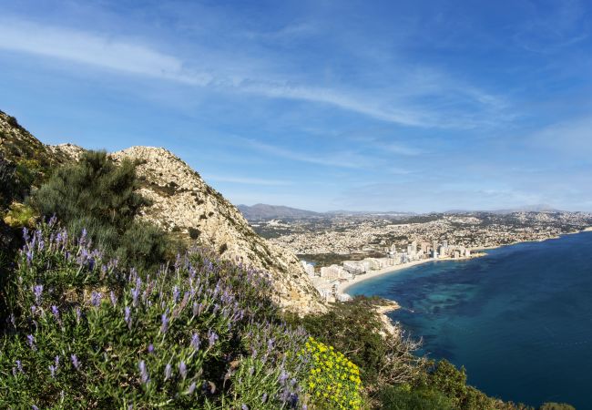 Appartement à Calpe - PARAISOMAR - *48D Appartement à Calpe - PARAISOMAR - *48D