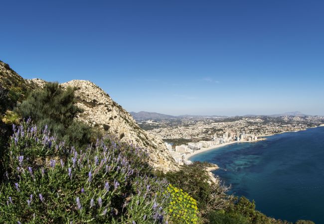 Appartement à Calpe - PARAISOMAR - *23B PREMIUM Appartement à Calpe - PARAISOMAR - *23B PREMIUM